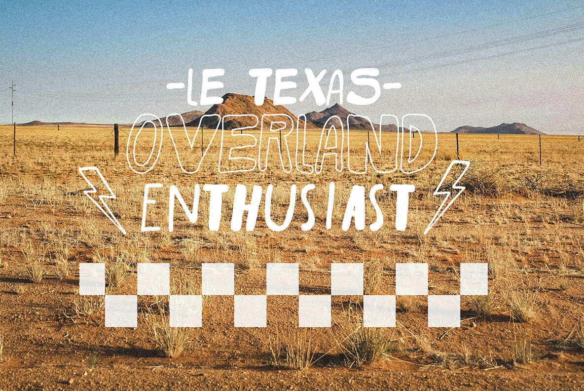 The Wild Copenhagen 6