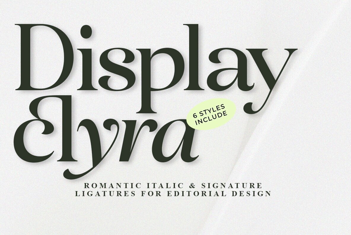 Display Elyra 1
