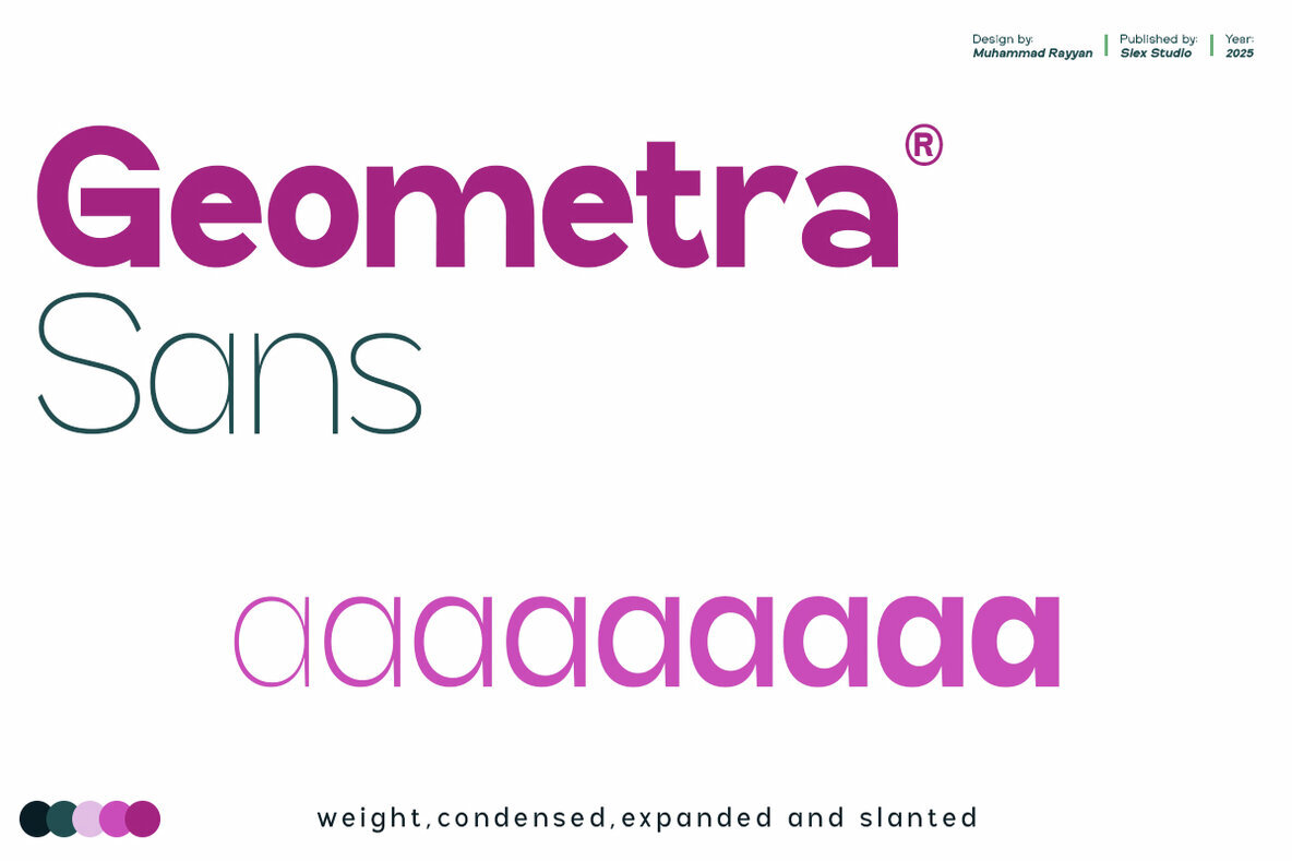Geometra Sans 1