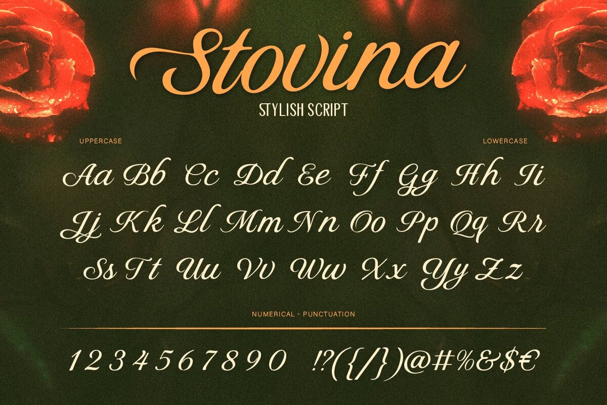 Stovina 5