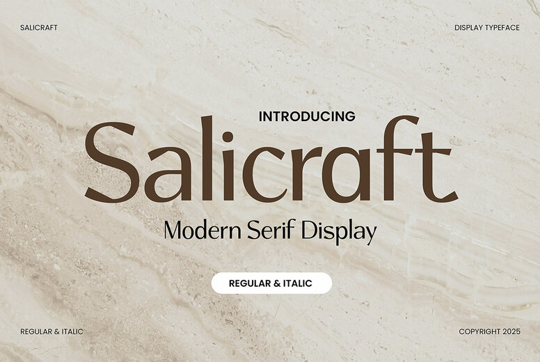 Salicraft Font
