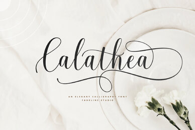 Calathea Script