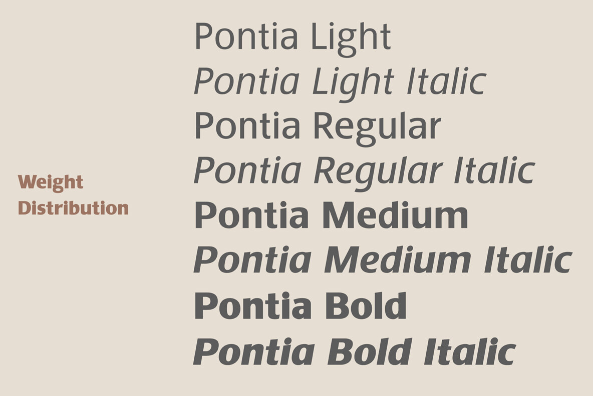 Pontia Sans 4