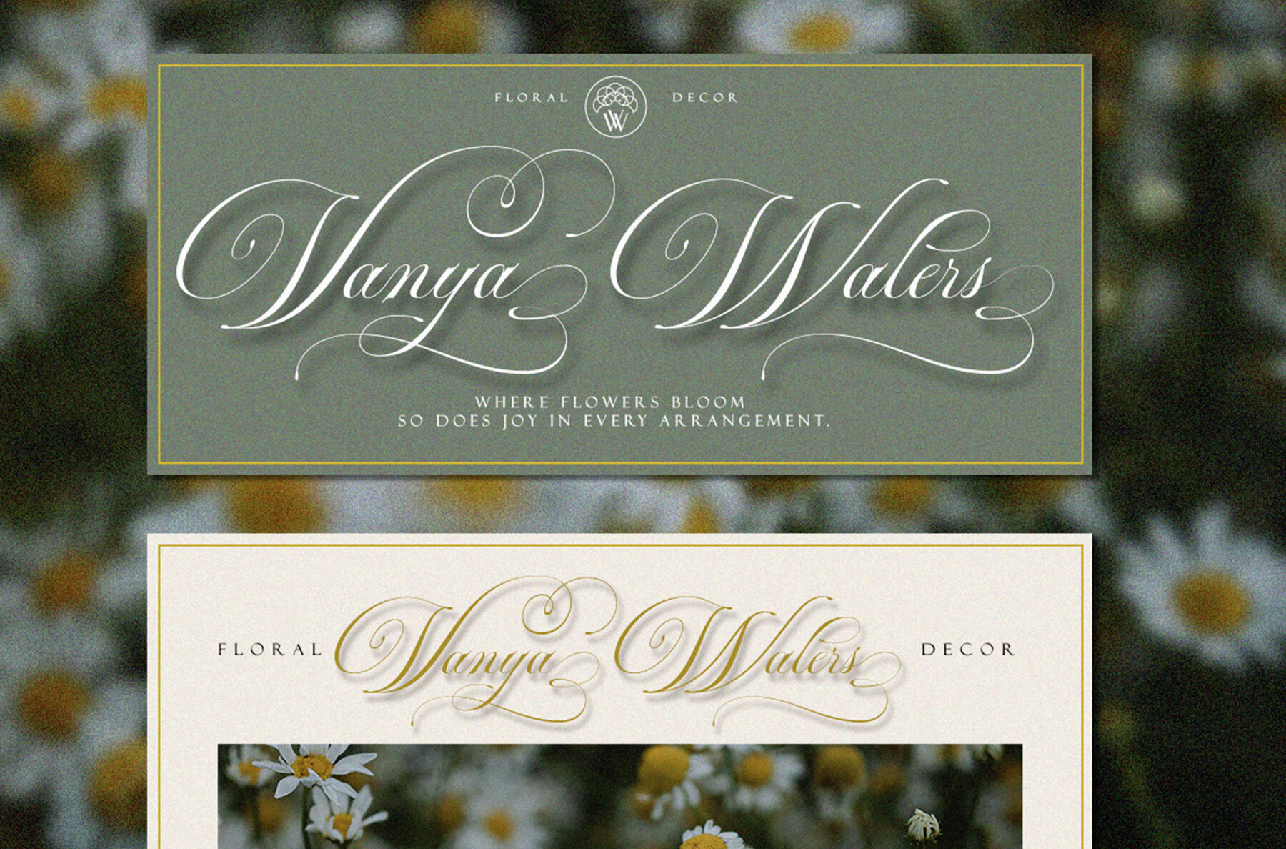 Auraliene Script Pro 2