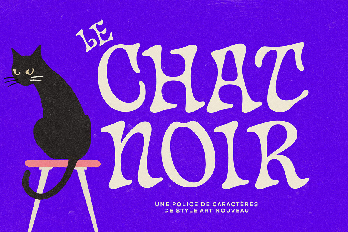 Chat Noir 2