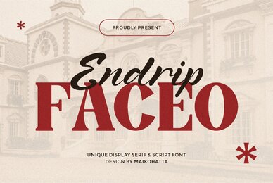 Endrip Faceo