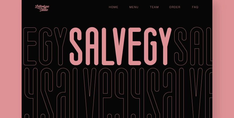 Salvegy