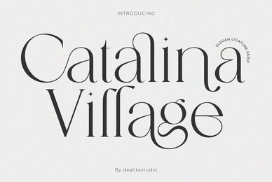 Catalina Village
