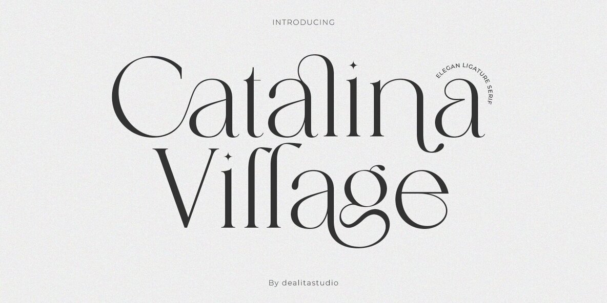 Catalina Village 1