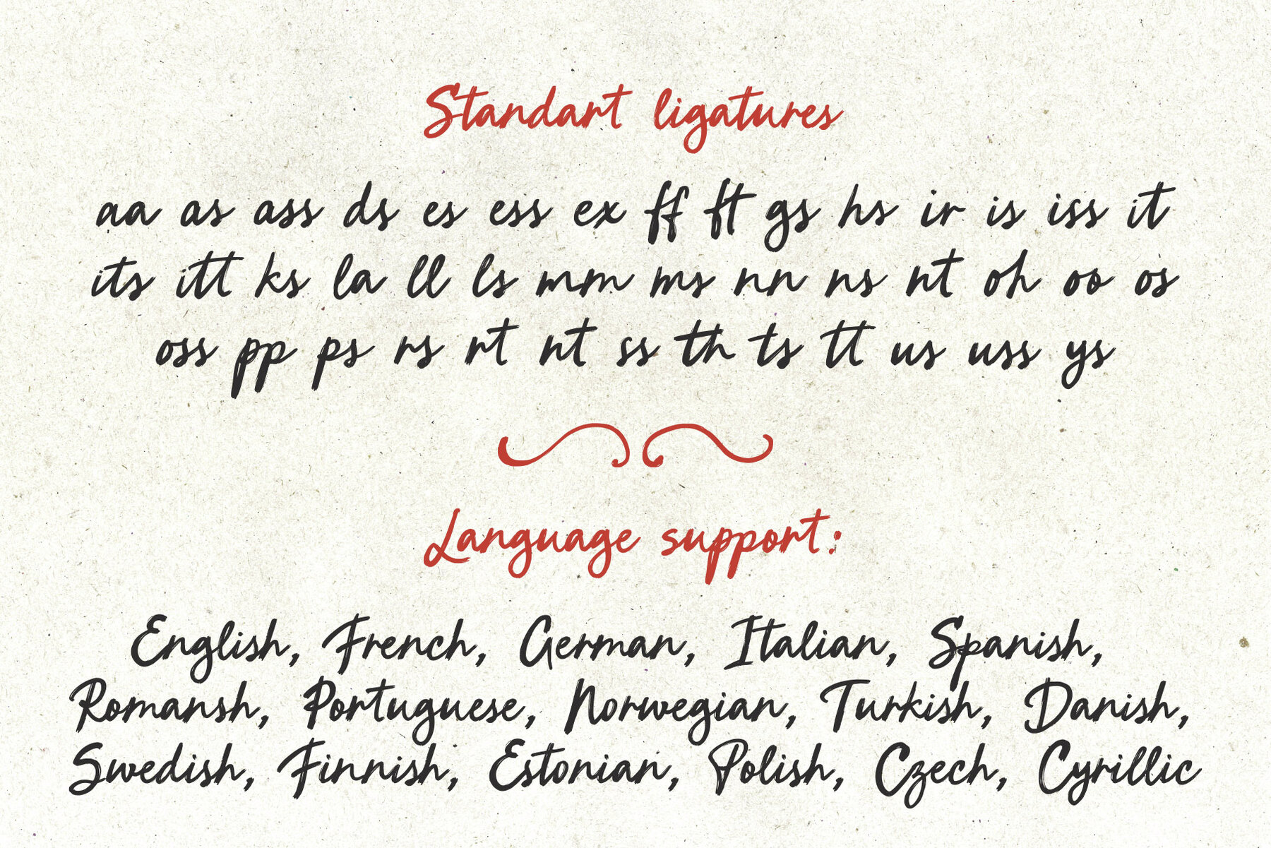 Breakfast in Venice 9