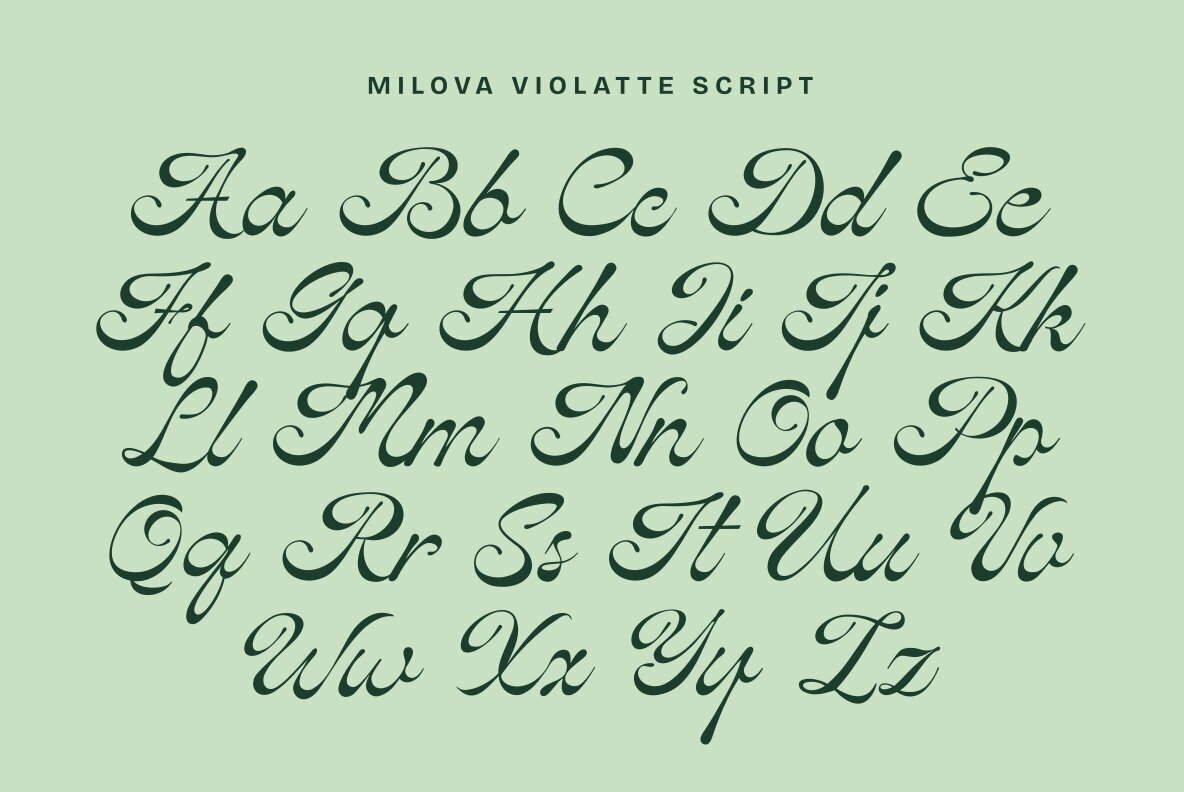 Milova Violatte 15