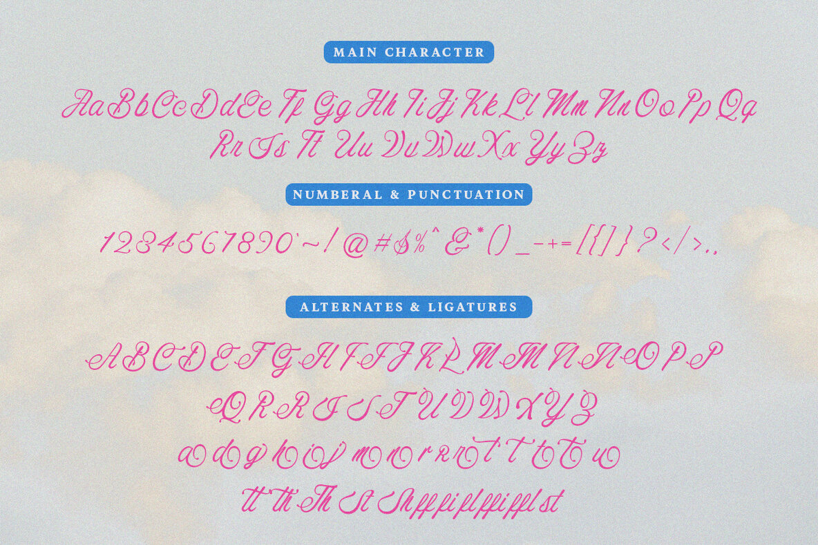 Costaria Script 11