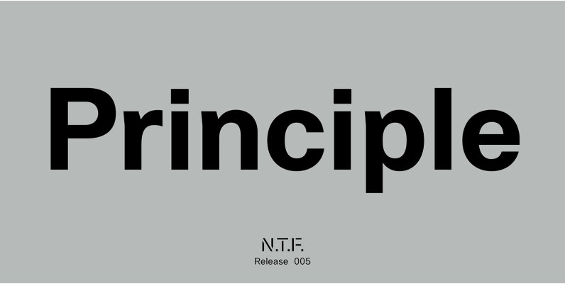 Principle