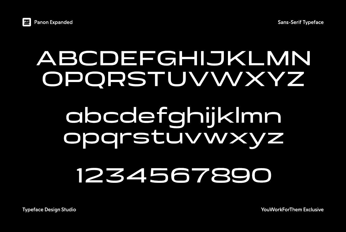 Panon Expanded 12