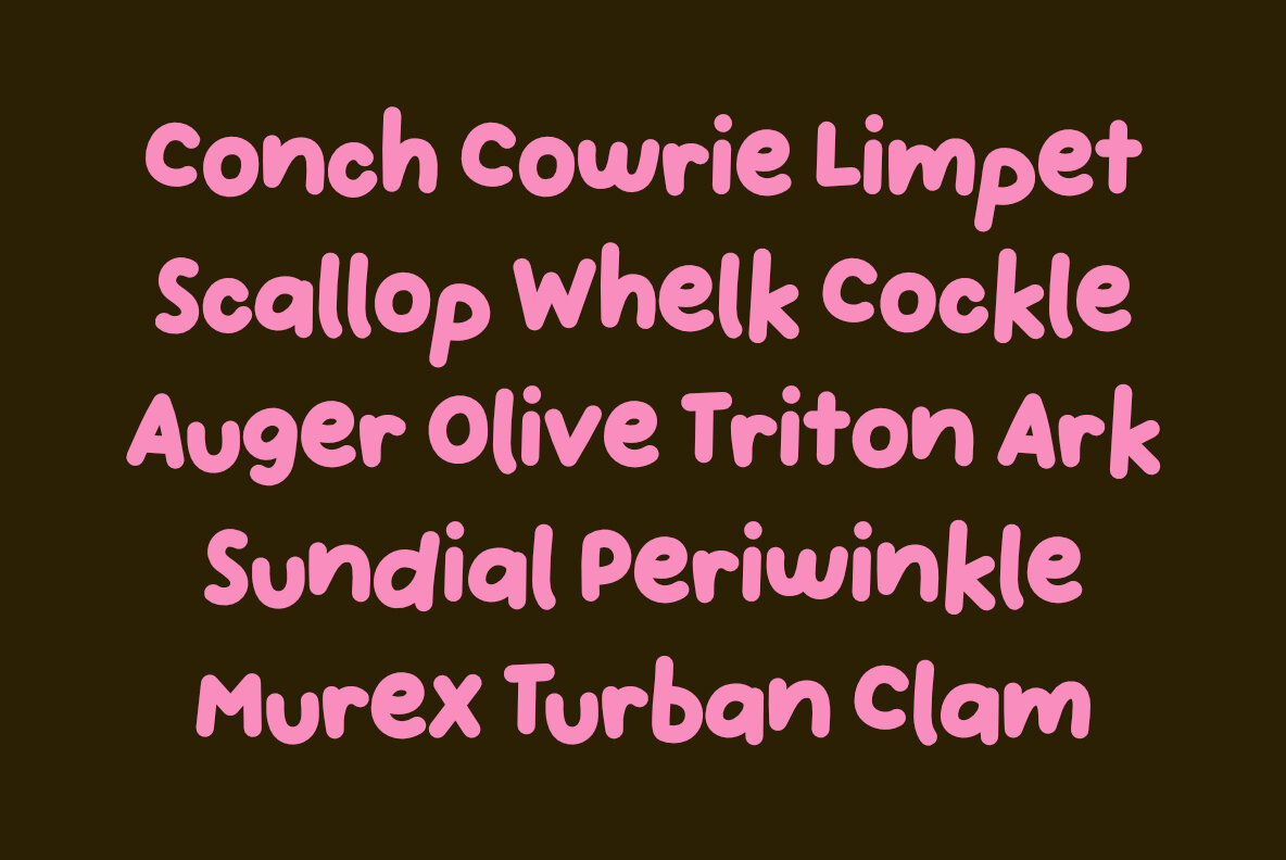 Handpicked Seashells 4