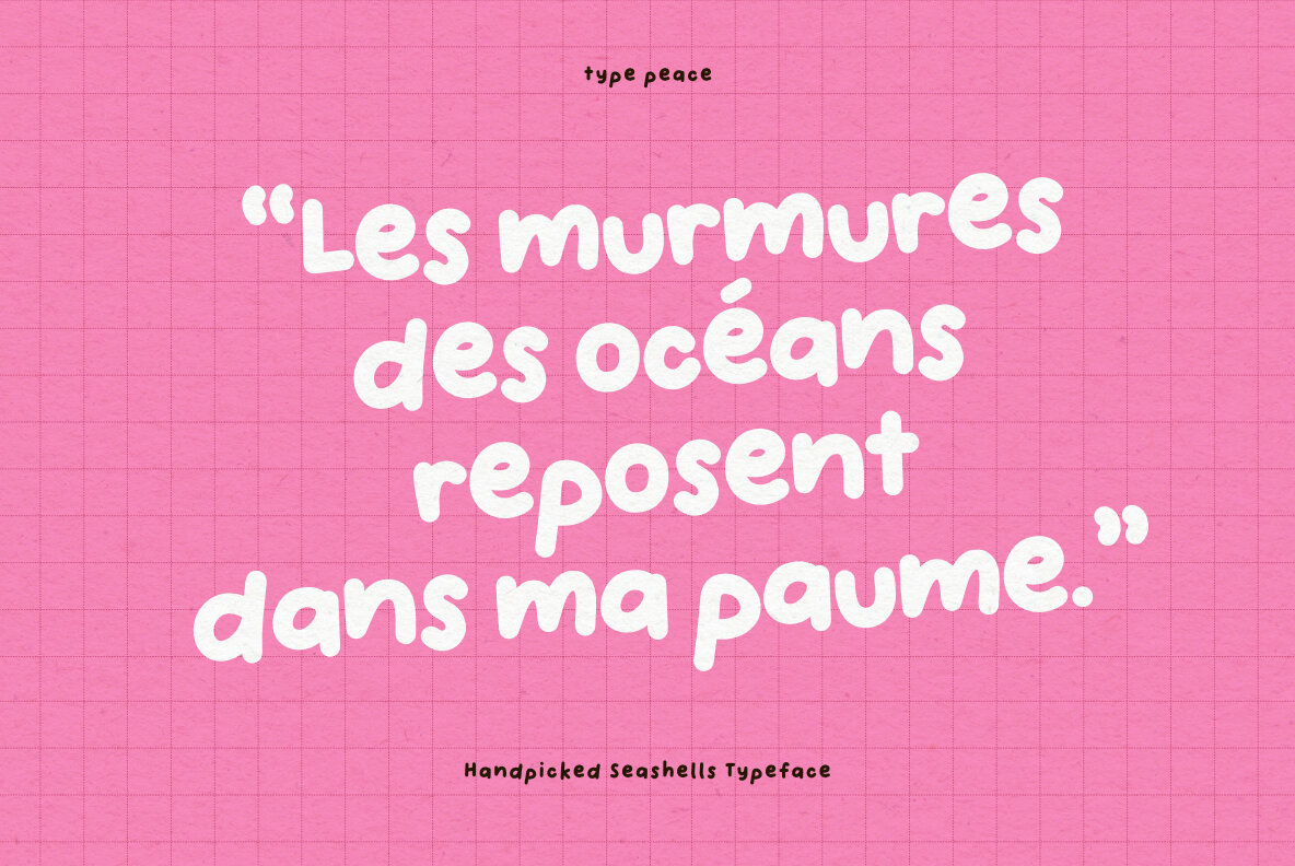 Handpicked Seashells 5