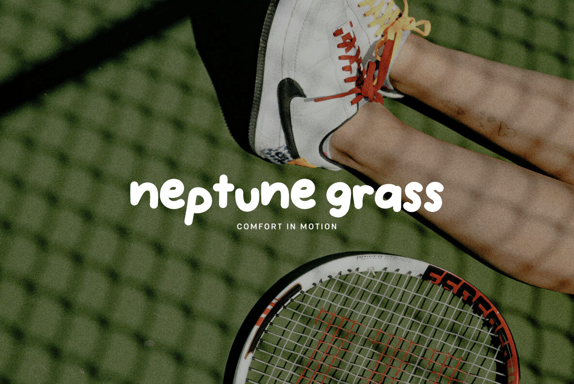 Handpicked Seashells 6