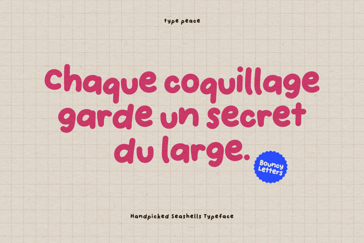 Handpicked Seashells 11