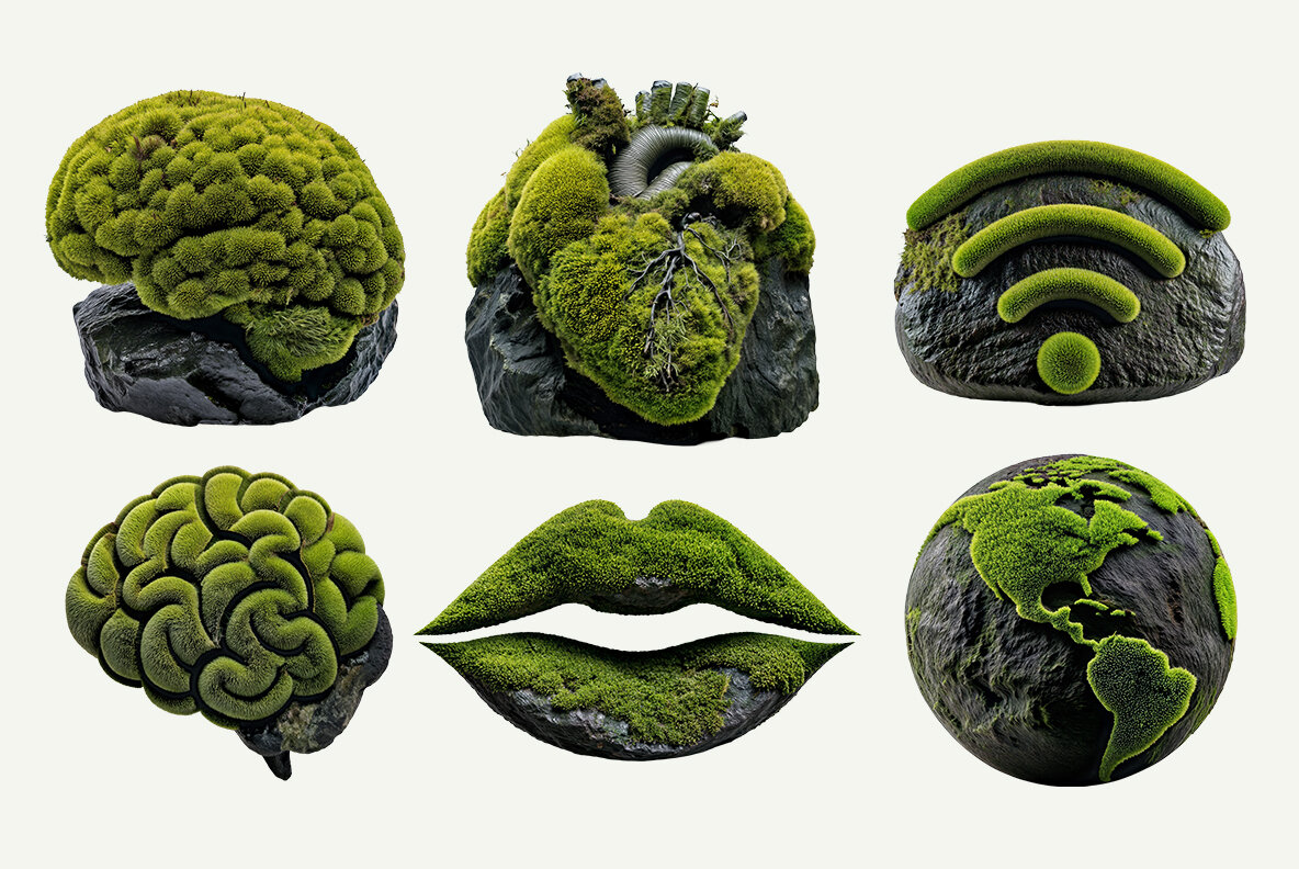 Moss on Rock SVG 13
