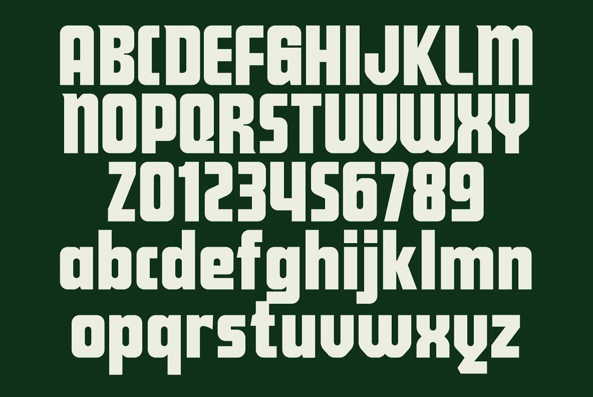 Coasbelt Pro Echo Noise Sans 4