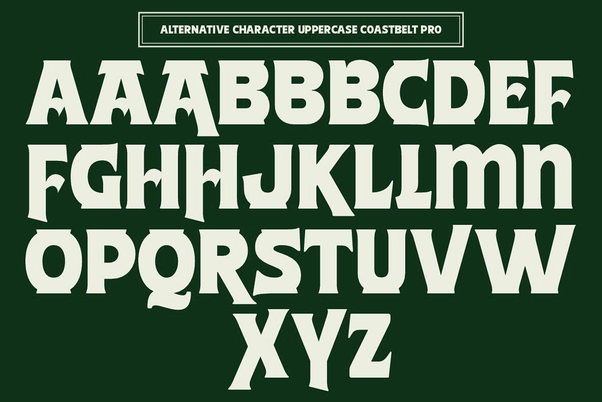 Coasbelt Pro Echo Noise Sans 6