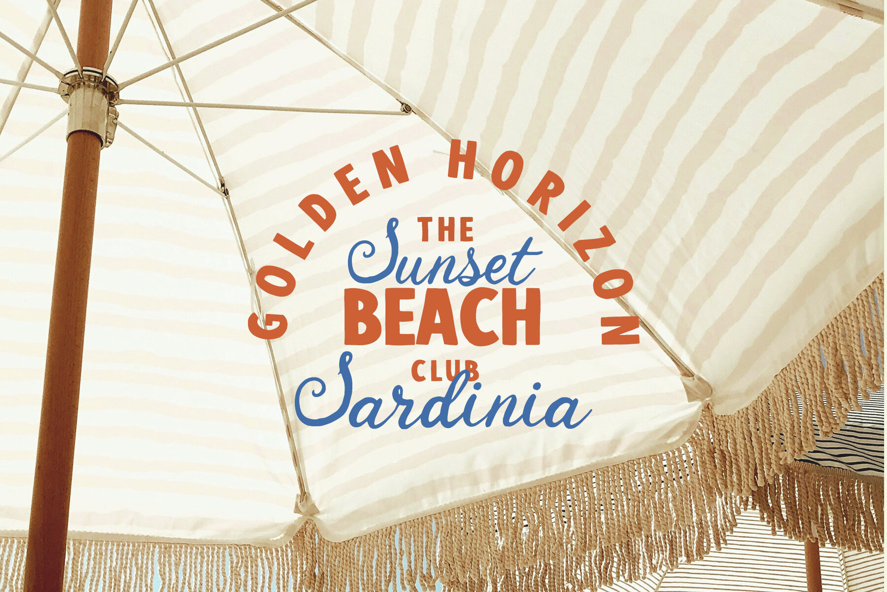 Martini and Lobster 8