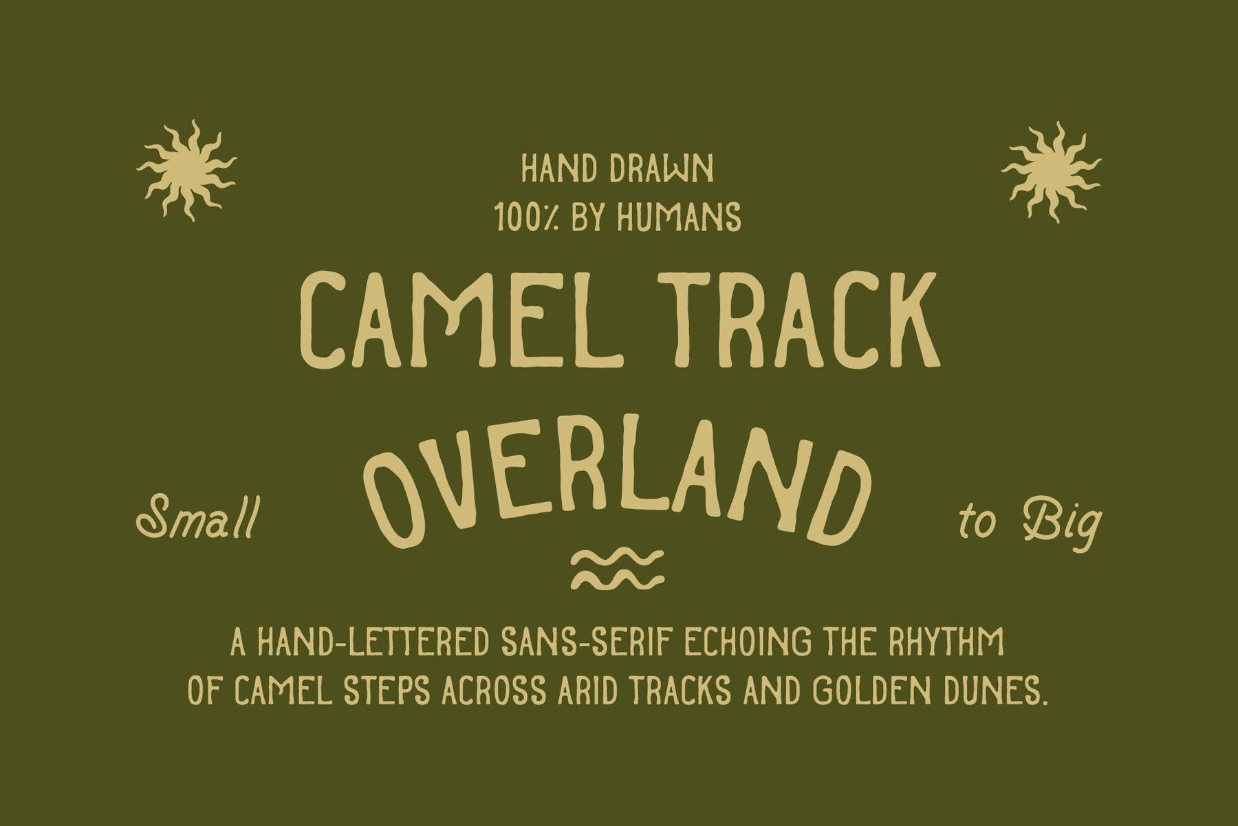 SFC Camel Track 6