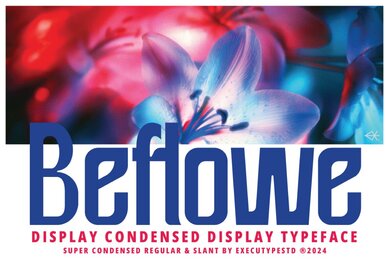 Beflowe Condensed