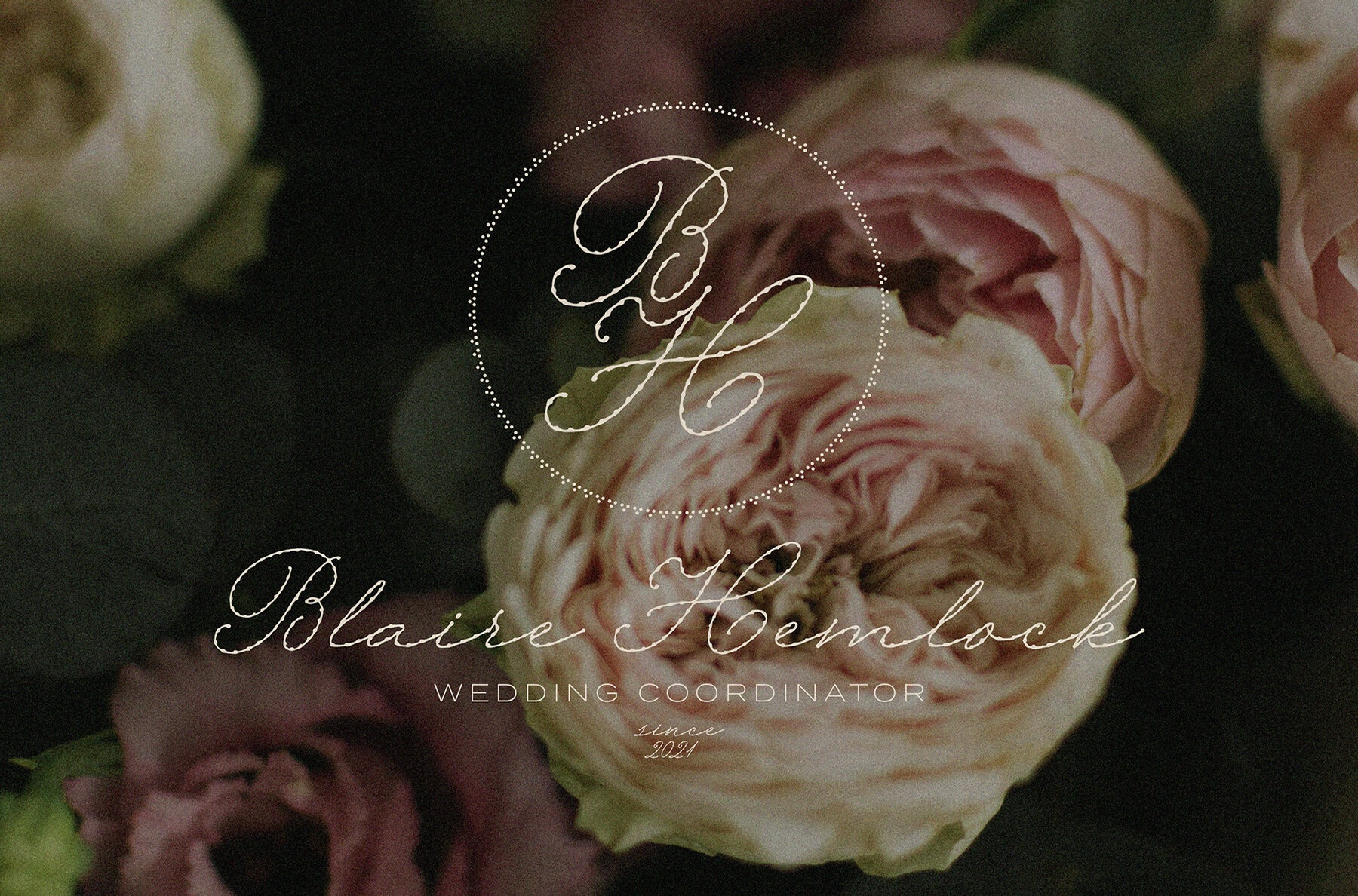 Echo Lace Delicate 7