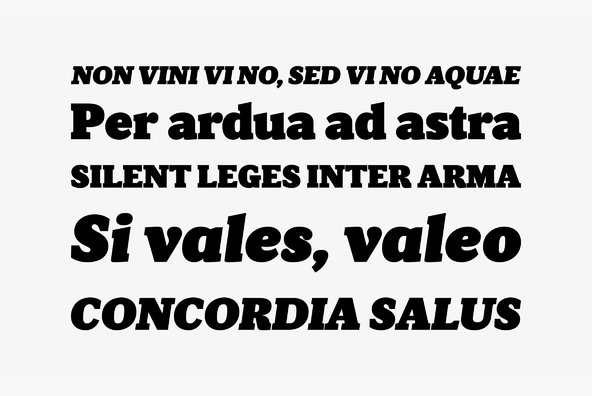 Velino Poster Velino Poster