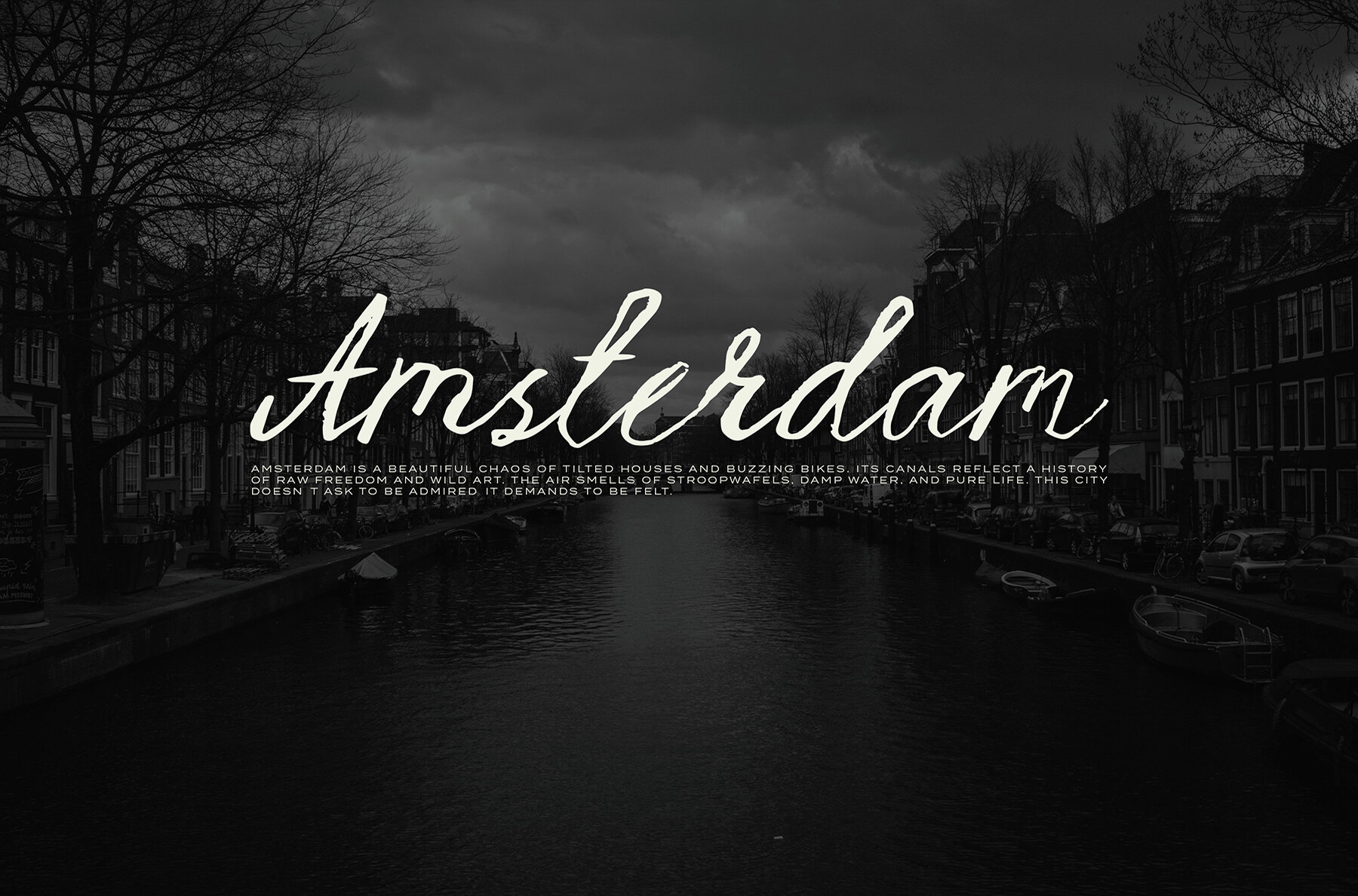 Strange Muse Messy 7