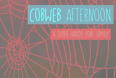 Cobweb Afternoon