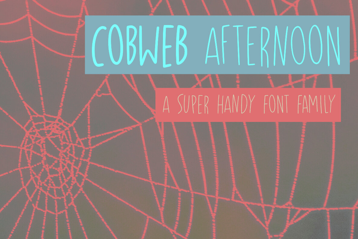 Cobweb Afternoon 1