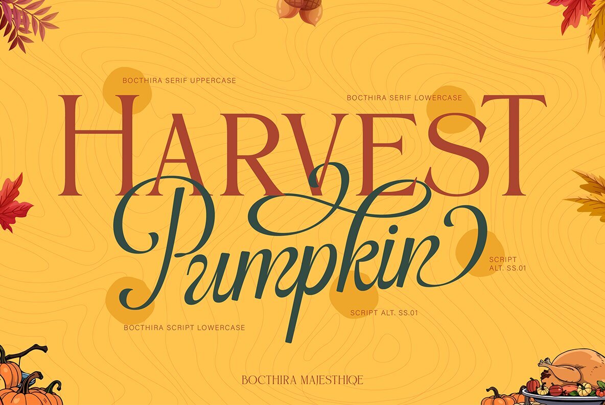 Bocthira Majesthique 11