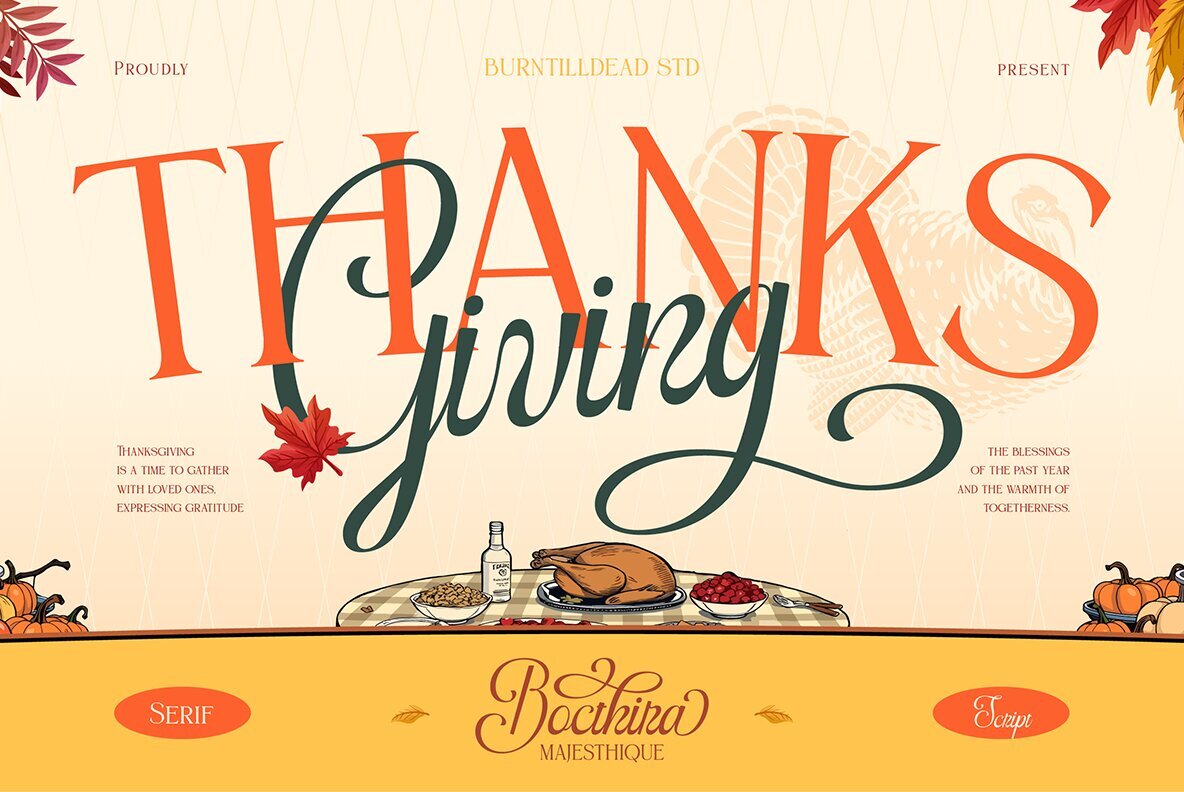 Bocthira Majesthique 12