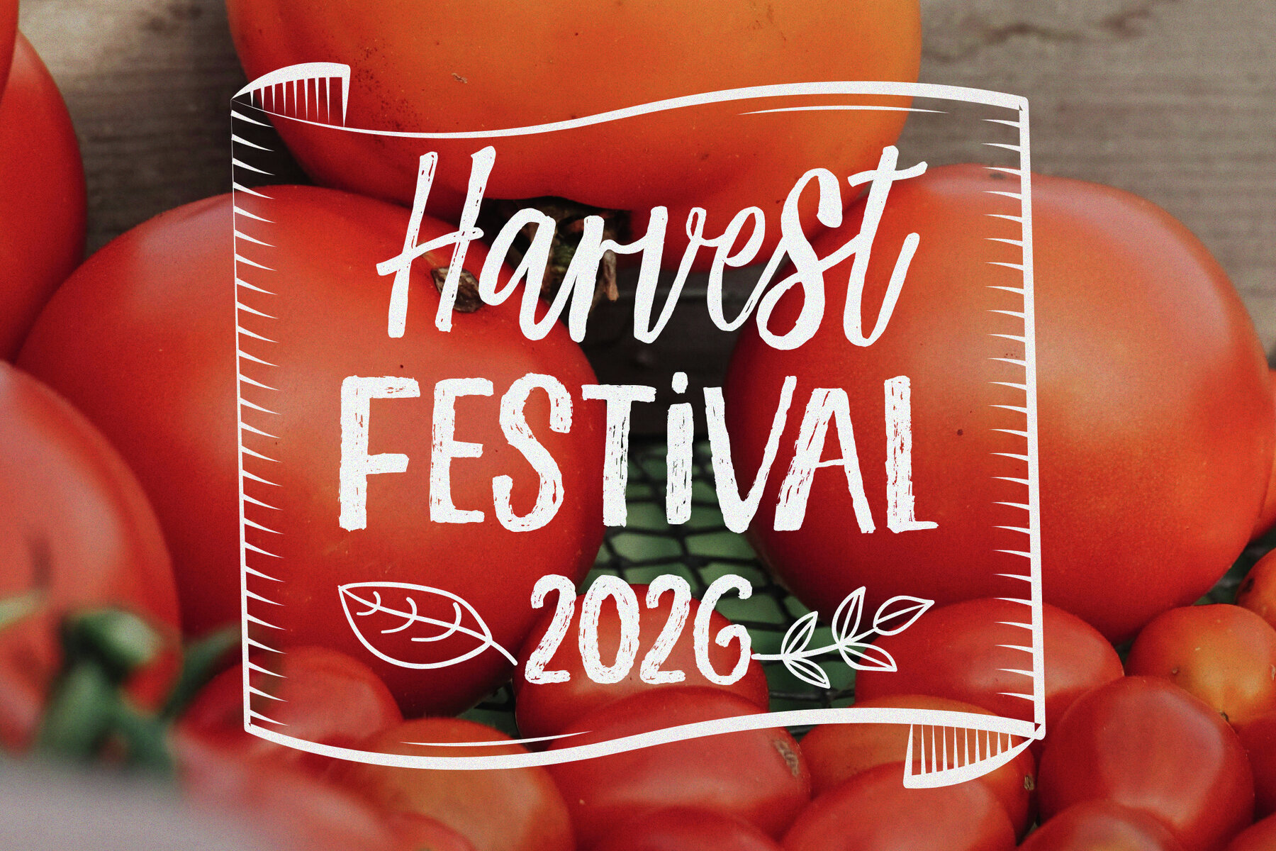 Flowtastic Expedition 2