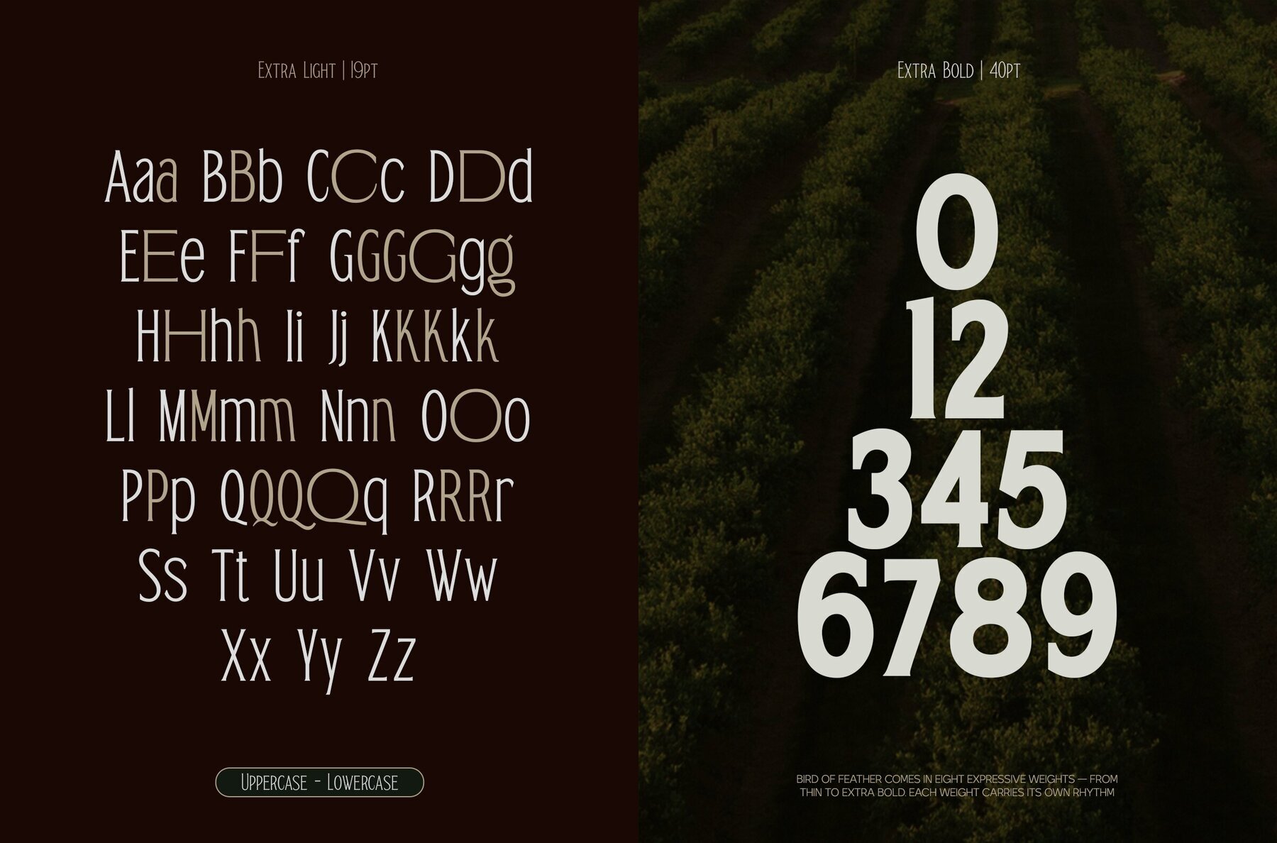 TRT Bird of Feather 2