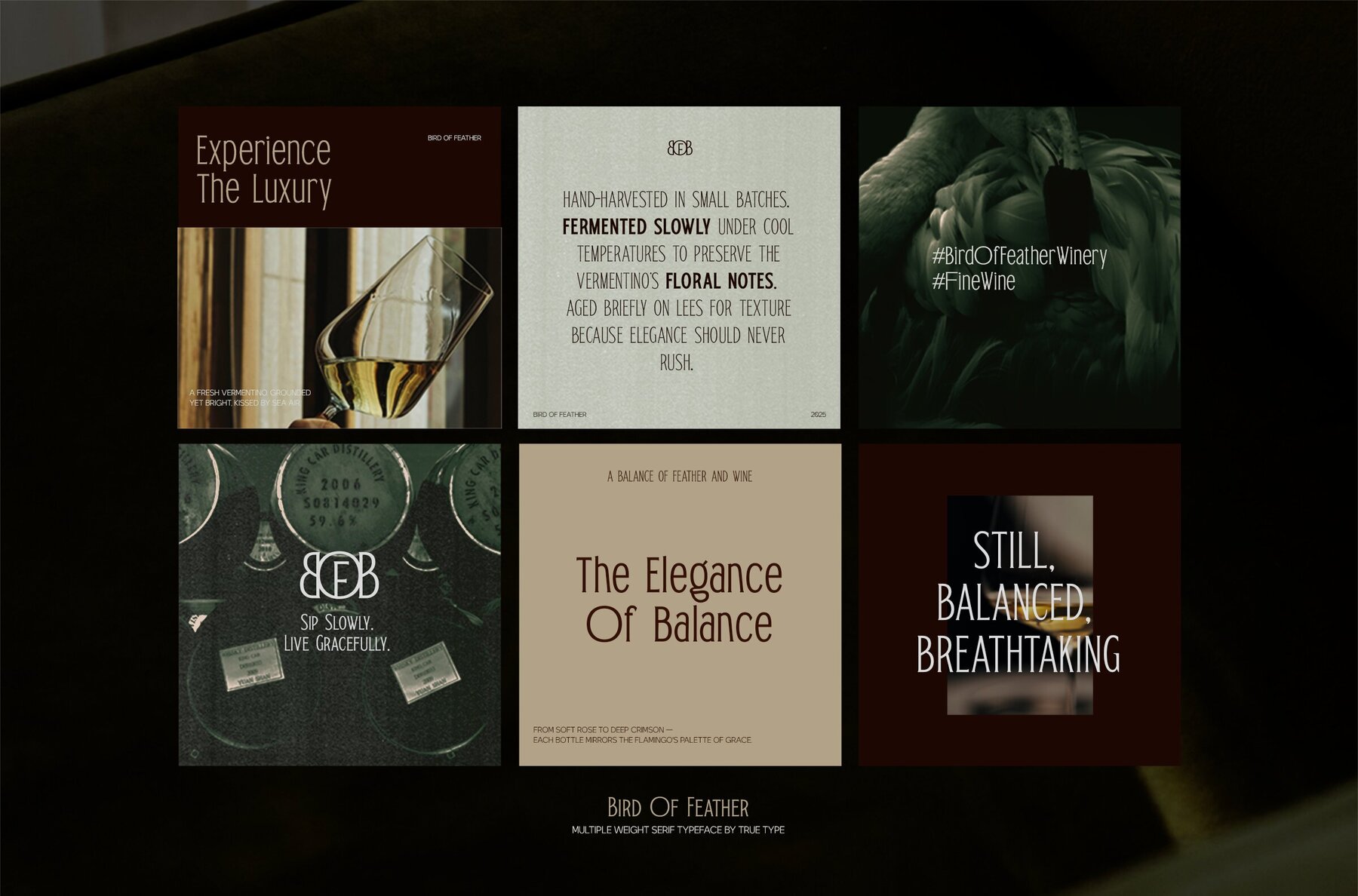 TRT Bird of Feather 10