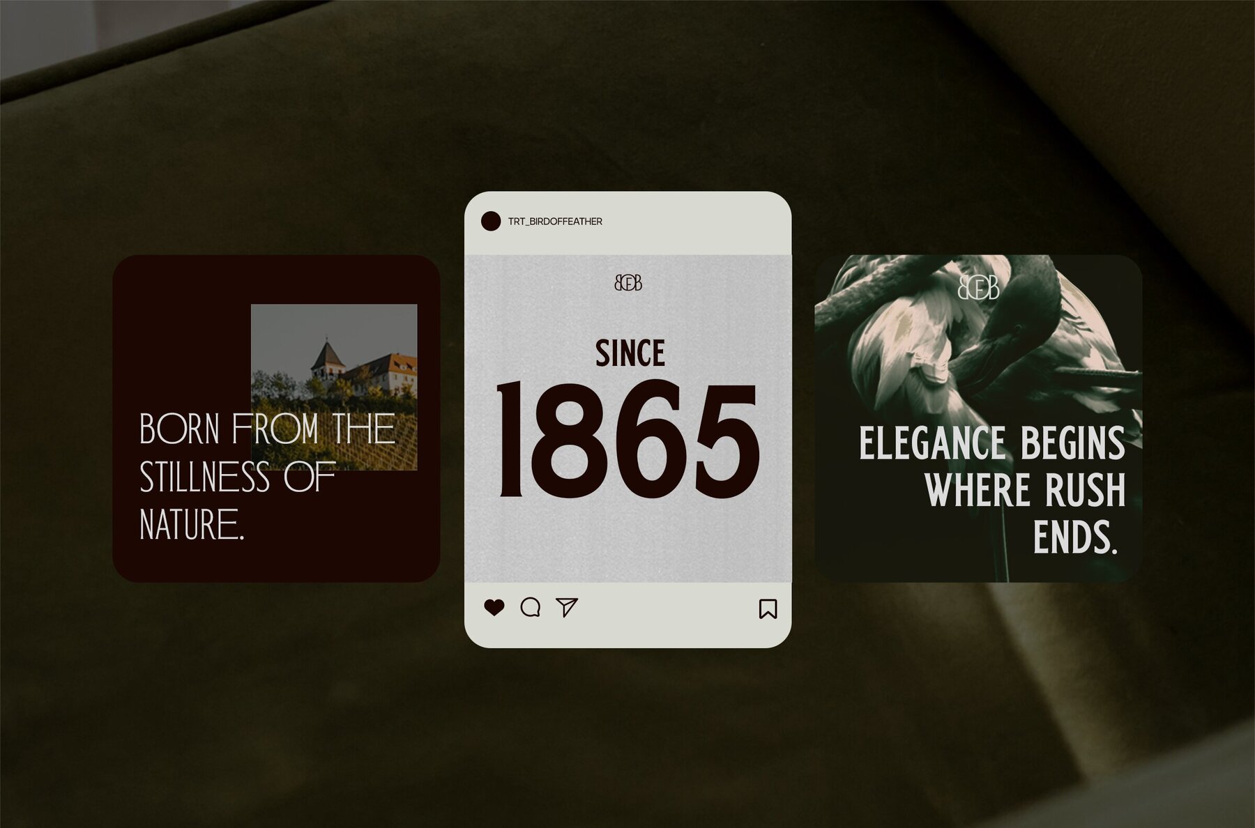 TRT Bird of Feather 13