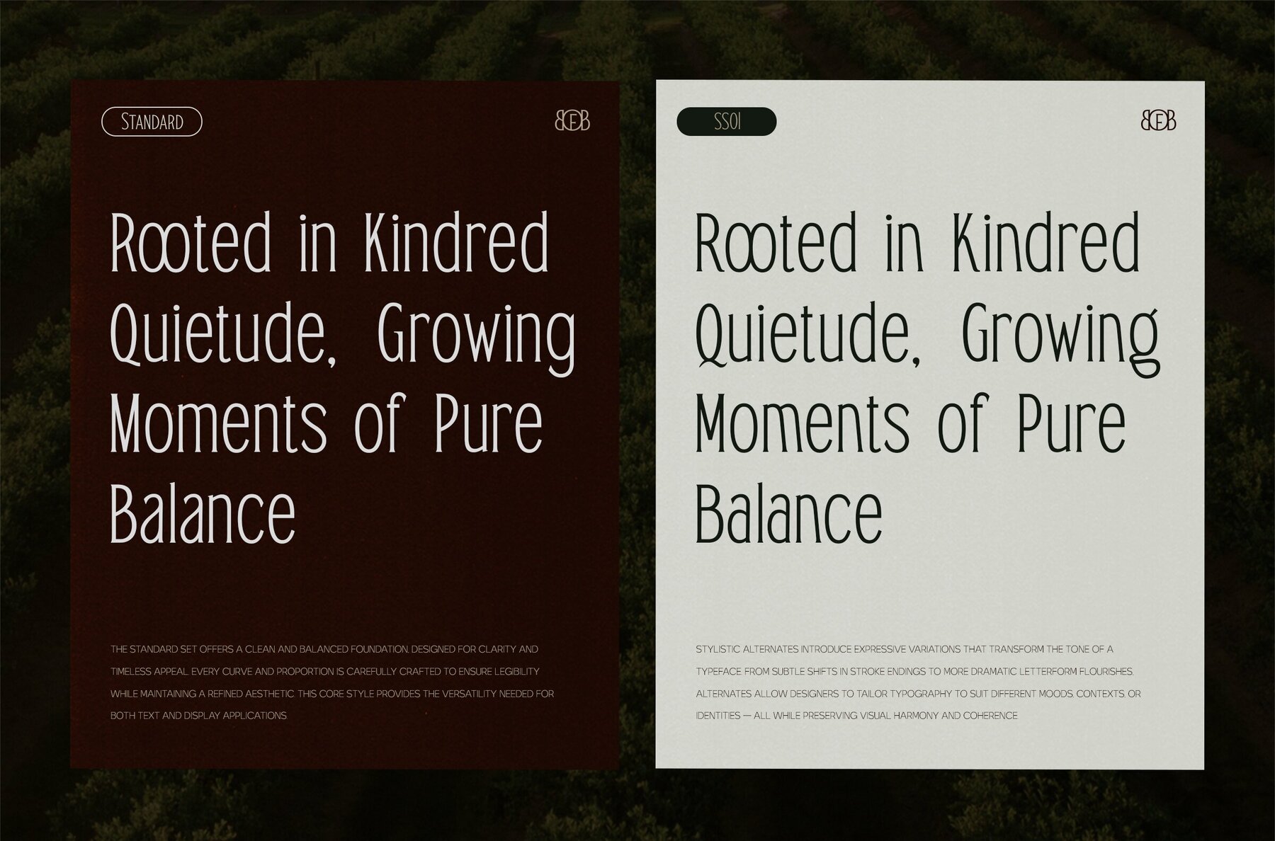 TRT Bird of Feather 14