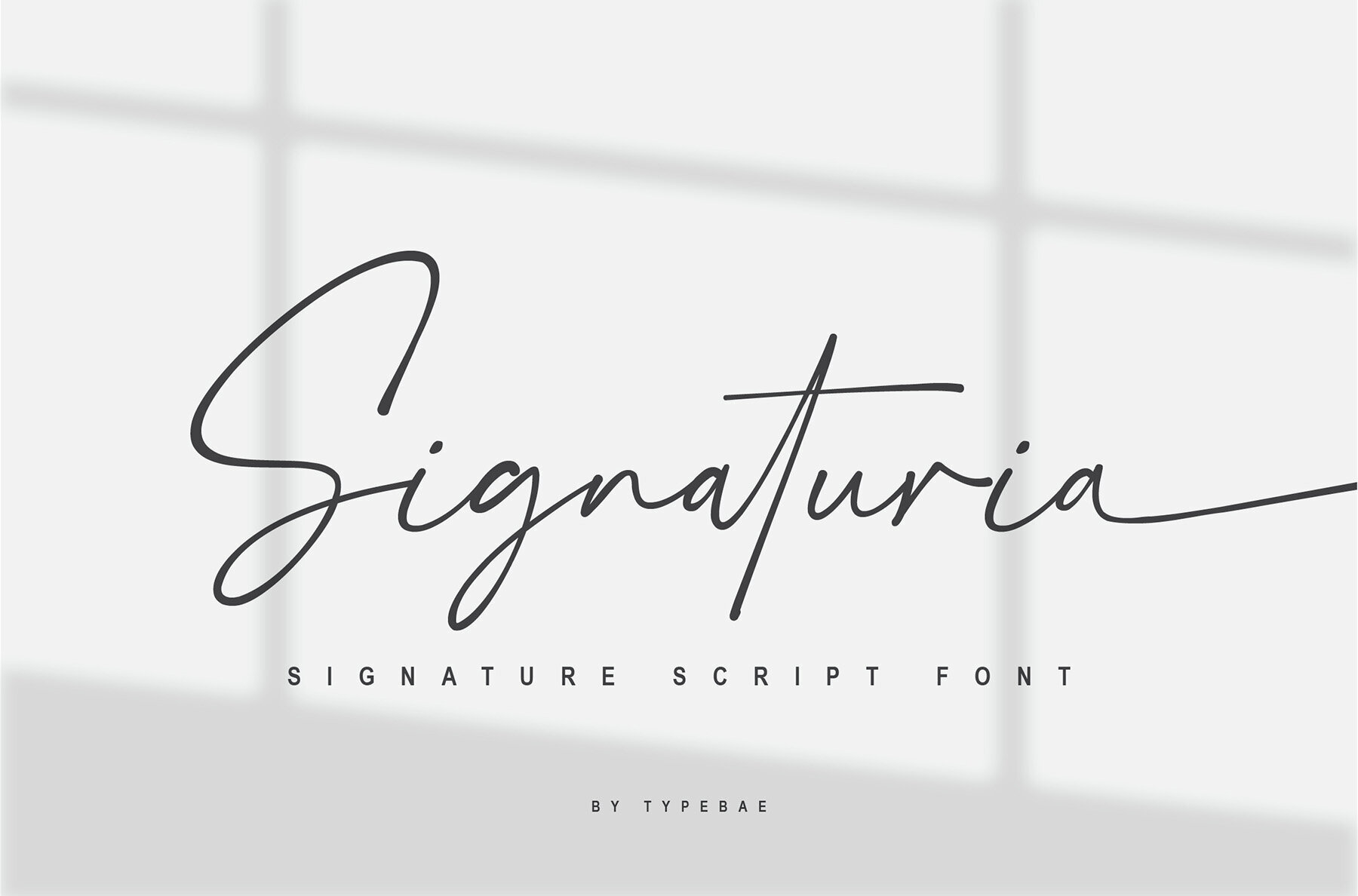 Signaturia 1