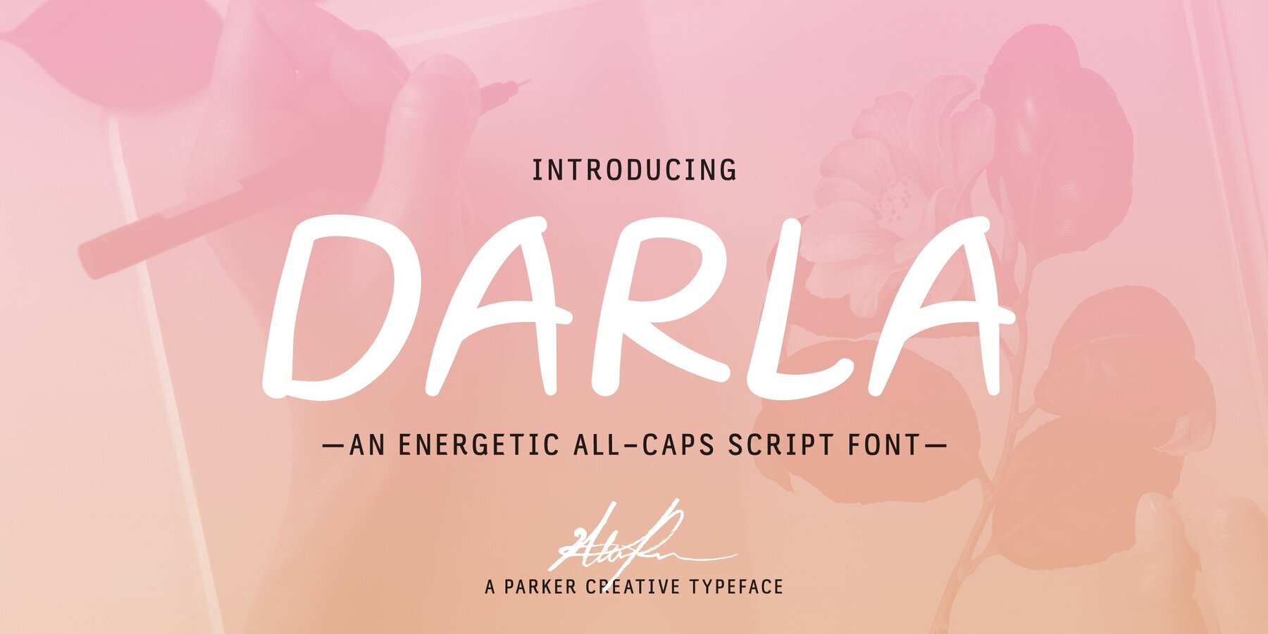 Darla Script 1