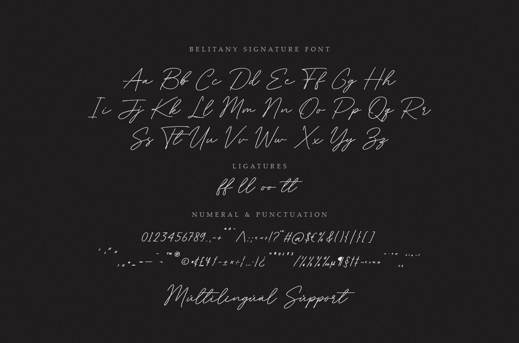 Belitany Signature 7