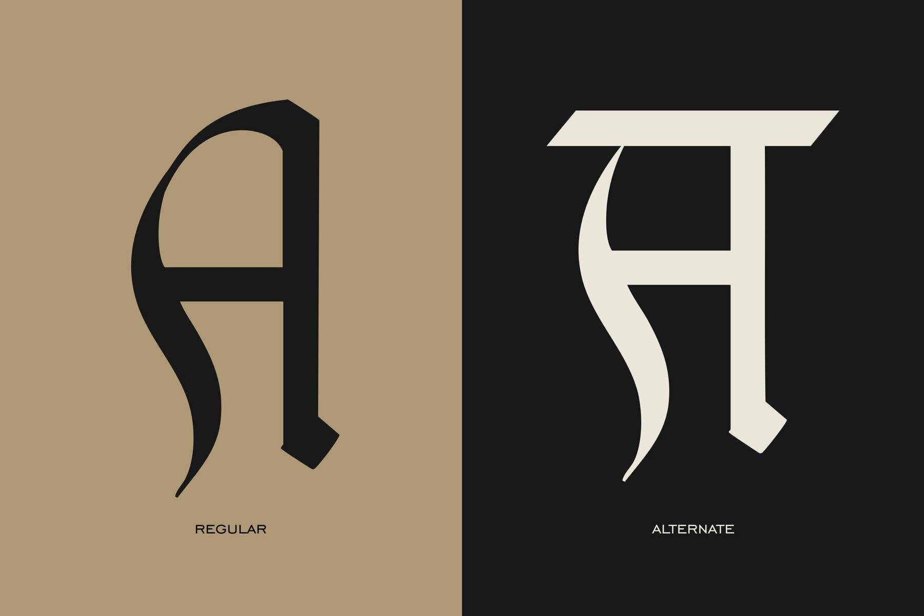 Shavanshi Rajdhani 4