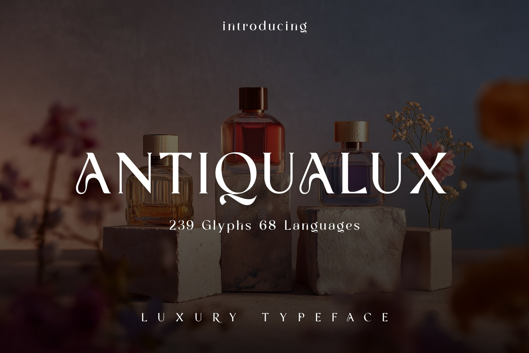 Antiqualux 1