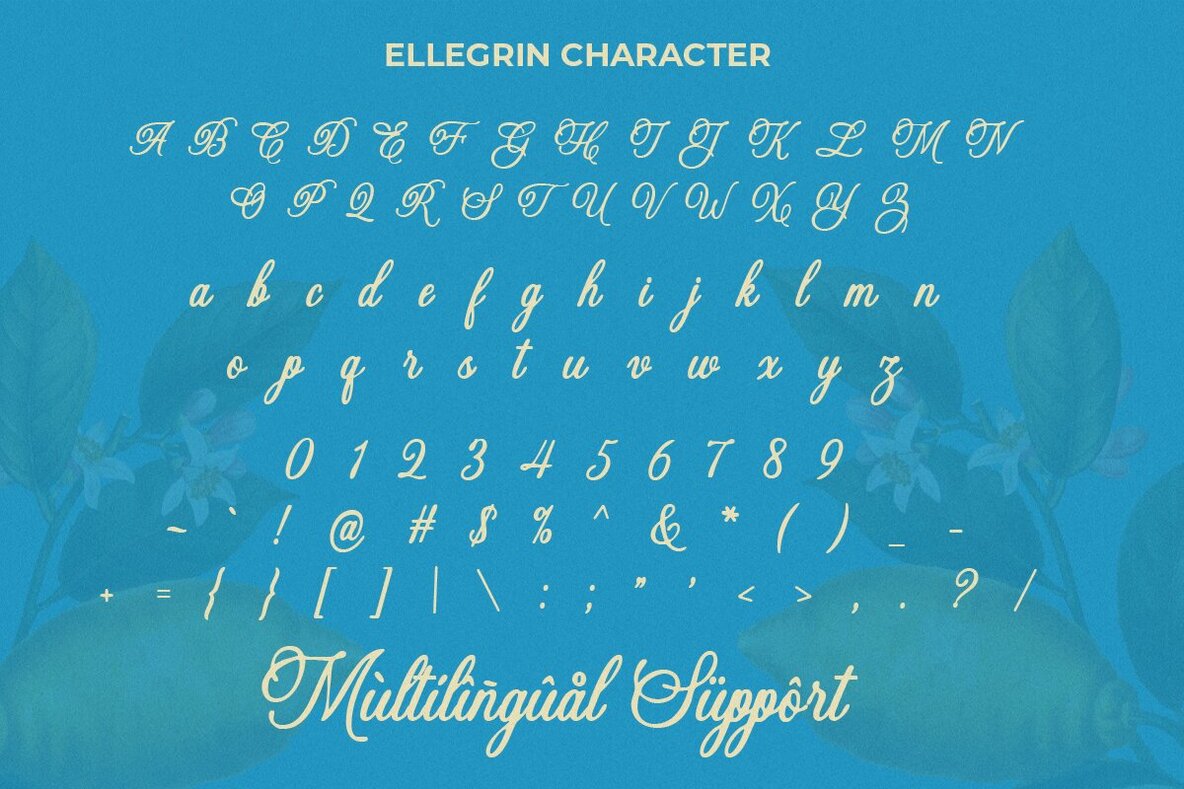Ellegrin Script Font - YouWorkForThem