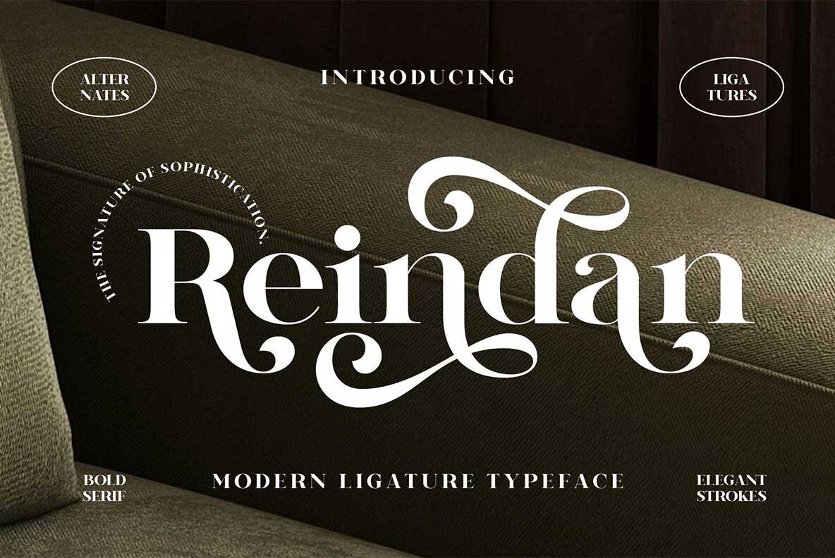 Reindan Font - YouWorkForThem