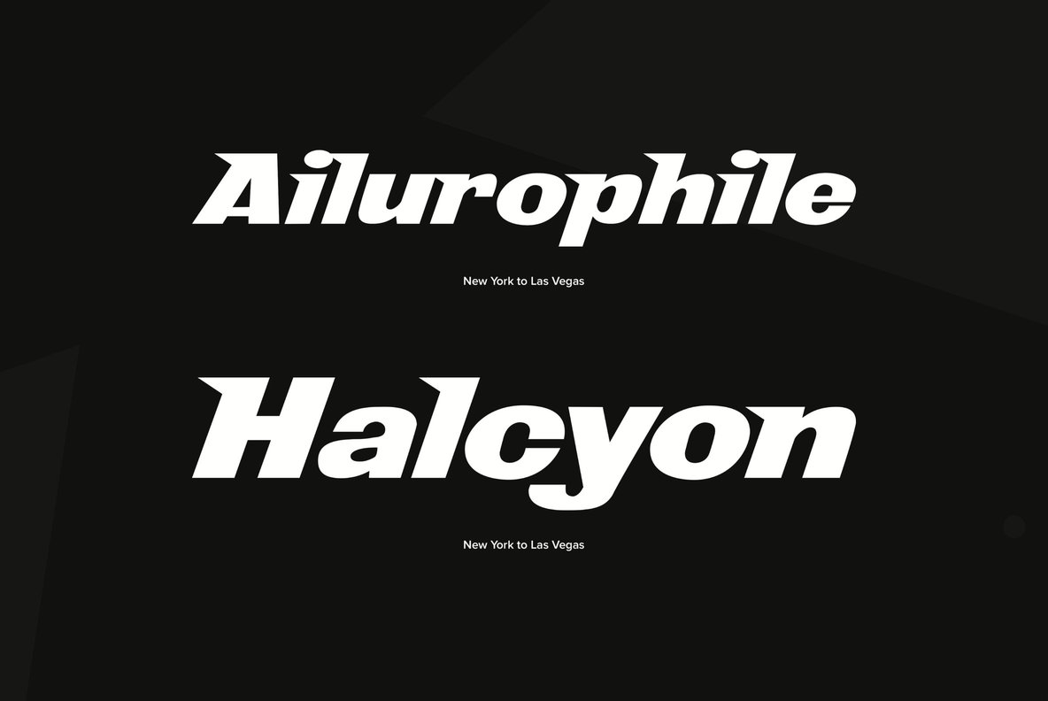 New York to Las Vegas 5