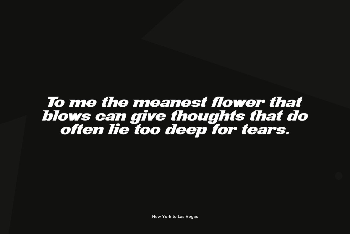 New York to Las Vegas 8