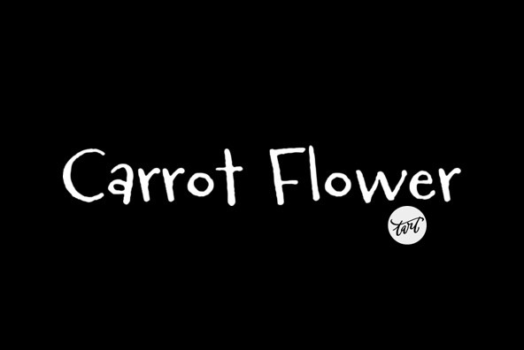 Carrot Flower Font